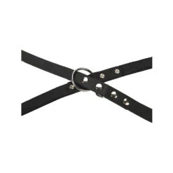 Beeztees Hondenriem Leer -Beste Dierenartikelen Winkel beeztees hondenriem leer 199292 1000 none