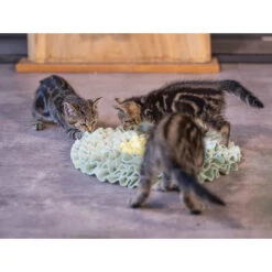 Beeztees Kitten Snuffelmat Flowie -Beste Dierenartikelen Winkel beeztees kitten snuffelmat flowie 216526 2000 none