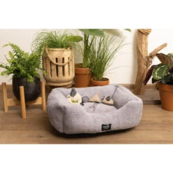 Beeztees Minus One Nox Kattenmand - Lichtgrijs 7 Beeztees Minus One Nox Kattenmand - Lichtgrijs -Beste Dierenartikelen Winkel beeztees minus one nox kattenmand lichtgrijs 188100 2000 none