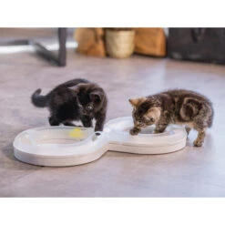 Beeztees Kitten Speelrail Agty -Beste Dierenartikelen Winkel beeztees speelrail agty 216522 2000 none