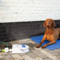 Beeztees Splashy Waterfontein -Beste Dierenartikelen Winkel beeztees splashy waterfontein 163285 2000 none