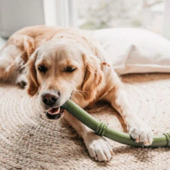 Beeztees Sumo Fit Stick -Beste Dierenartikelen Winkel beeztees sumo fit stick 178435 1000 none