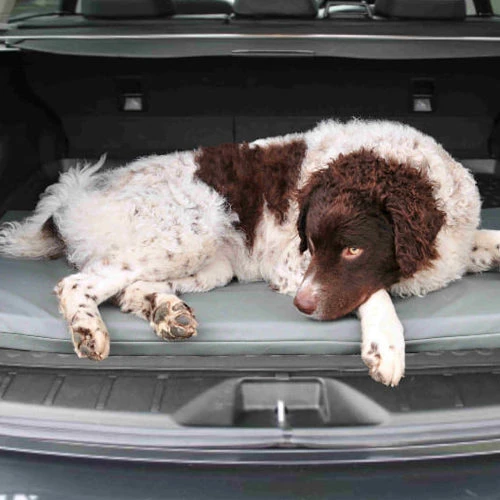 Bia Original Matras Zwart 5 Bia Original Matras Zwart - Afbeelding 5