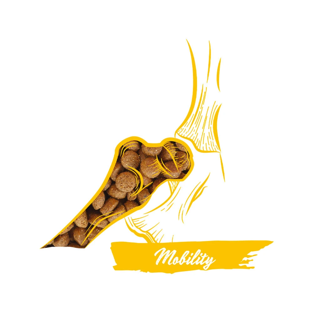 Calibra Dog Expert Nutrition Mobility 5 Calibra Dog Expert Nutrition Mobility - Afbeelding 5