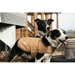 Carhartt Dog Chore Coat -Beste Dierenartikelen Winkel carhartt dog chore coat 186748 0500 none