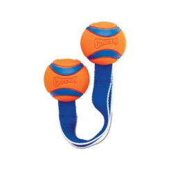 Chuckit! Ultra Duo Tug 8 Chuckit! Ultra Duo Tug -Beste Dierenartikelen Winkel chuckit ultra duo tug 122951 0500 none