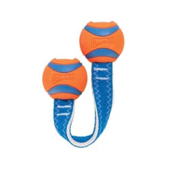 Chuckit! Ultra Duo Tug 9 Chuckit! Ultra Duo Tug -Beste Dierenartikelen Winkel chuckit ultra duo tug 122954 0500 none