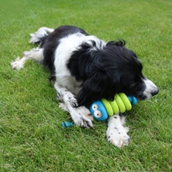 Coockoo Larry -Beste Dierenartikelen Winkel coockoo larry 216712 1000 none