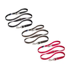 Curli Adjustable Leash Nylon -Beste Dierenartikelen Winkel curli adjustable leash nylon 219397 2000 none