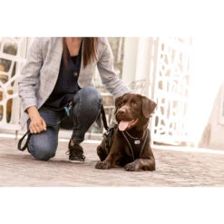 Curli Adjustable Leash Nylon -Beste Dierenartikelen Winkel curli adjustable leash nylon 219401 2000 none
