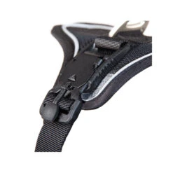 Curli Magnetic Belka Comfort Harness 15 Curli Magnetic Belka Comfort Harness -Beste Dierenartikelen Winkel curli magnetic belka comfort harness 219392 2000 none