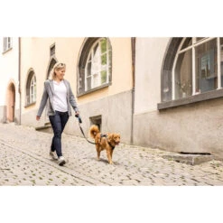 Curli Magnetic Belka Comfort Harness 17 Curli Magnetic Belka Comfort Harness -Beste Dierenartikelen Winkel curli magnetic belka comfort harness 219394 2000 none