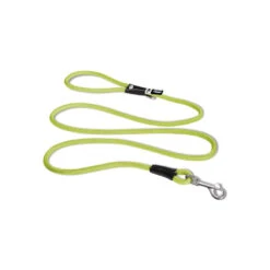 Curli Stretch Comfort Leash -Beste Dierenartikelen Winkel curli stretch comfort leash lime m 134828 1000 none