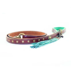 DWAM Hondenriem Joe 11 DWAM Hondenriem Joe -Beste Dierenartikelen Winkel d851e1da746a7ed69e57f268b3d363ea01f1b2f4b9f1cd7e247e9dd6aefa05ae 4