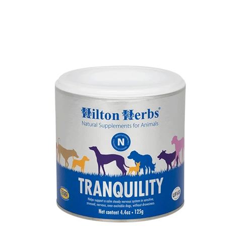 Hilton Herbs Tranquility For Dogs 1 Hilton Herbs Tranquility For Dogs