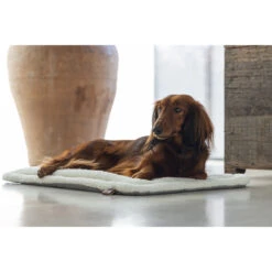 Designed By Lotte Benchkussen Gisel 21 Designed By Lotte Benchkussen Gisel -Beste Dierenartikelen Winkel designed by lotte benchkussen gisel 221516 1000 none