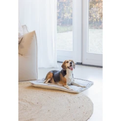 Designed By Lotte Benchkussen Gisel 20 Designed By Lotte Benchkussen Gisel -Beste Dierenartikelen Winkel designed by lotte benchkussen gisel 221517 1500 none