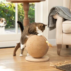 Designed By Lotte Krabbol Balty -Beste Dierenartikelen Winkel designed by lotte krabbol balty 164809 2000 none