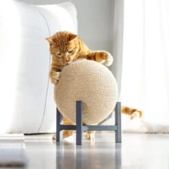 Designed By Lotte Krabbol Tyra 9 Designed By Lotte Krabbol Tyra -Beste Dierenartikelen Winkel designed by lotte krabbol tyra 222831 0500 none