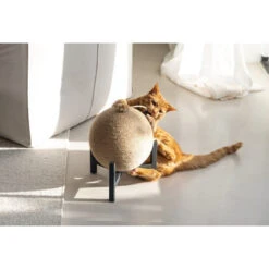 Designed By Lotte Krabbol Tyra 11 Designed By Lotte Krabbol Tyra -Beste Dierenartikelen Winkel designed by lotte krabbol tyra 222832 0500 none