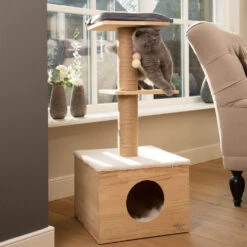 Designed By Lotte Krabmeubel Kamina 5 Designed By Lotte Krabmeubel Kamina -Beste Dierenartikelen Winkel designed by lotte krabmeubel kamina 169996 1000 none