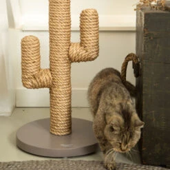 Designed By Lotte Krabpaal Cactus -Beste Dierenartikelen Winkel designed by lotte krabpaal cactus 170008 2000 none