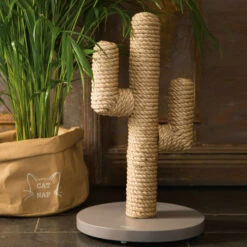 Designed By Lotte Krabpaal Cactus -Beste Dierenartikelen Winkel designed by lotte krabpaal cactus 170011 2000 none