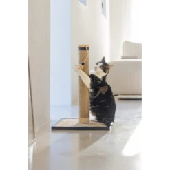 Designed By Lotte Krabpaal Vyda -Beste Dierenartikelen Winkel designed by lotte krabpaal vyda 222826 1000 none