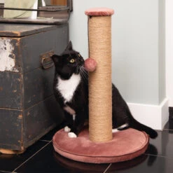 Designed By Lotte Krabpaal Yenna -Beste Dierenartikelen Winkel designed by lotte krabpaal yenna 164443 2000 none