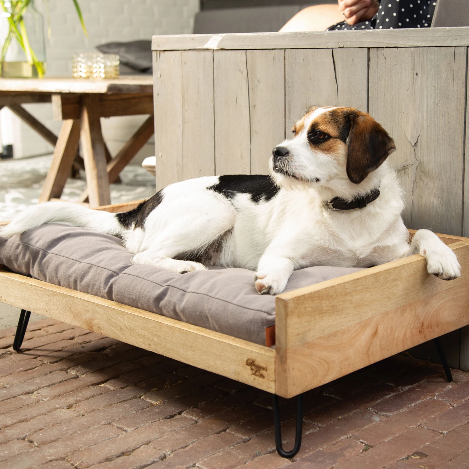 Designed By Lotte Ligmand Turana 3 Designed By Lotte Ligmand Turana - Afbeelding 3