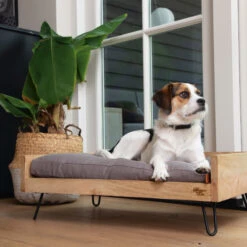 Designed By Lotte Ligmand Turana 7 Designed By Lotte Ligmand Turana -Beste Dierenartikelen Winkel designed by lotte ligmand turana 170032 2000 none