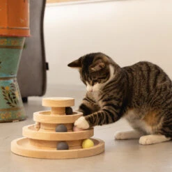 Designed By Lotte Speeltoren Mia -Beste Dierenartikelen Winkel designed by lotte speeltoren mia 193652 1000 none