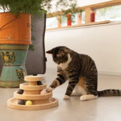 Designed By Lotte Speeltoren Mia -Beste Dierenartikelen Winkel designed by lotte speeltoren mia 193658 1000 none