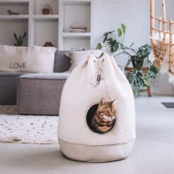 District 70 - Casa Teddy Kattenhuisje 10 District 70 - Casa Teddy Kattenhuisje -Beste Dierenartikelen Winkel district 70 casa teddy kattenhuisje 220246 1000 none