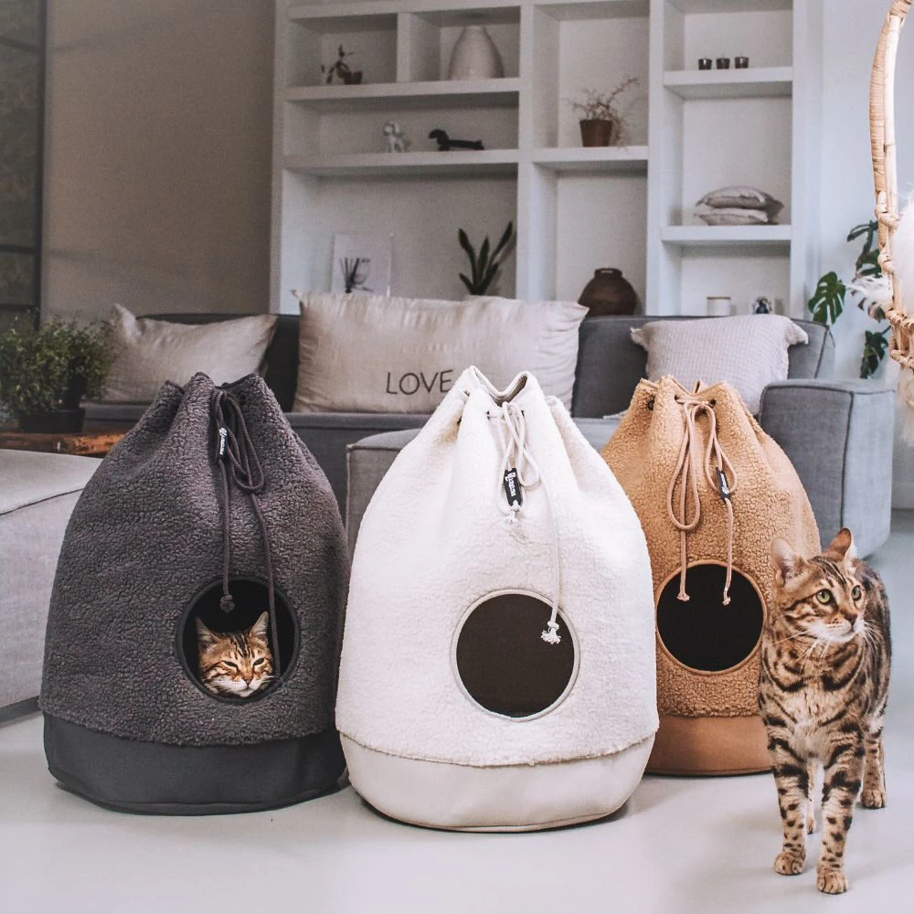 District 70 - Casa Teddy Kattenhuisje 6 District 70 - Casa Teddy Kattenhuisje - Afbeelding 6