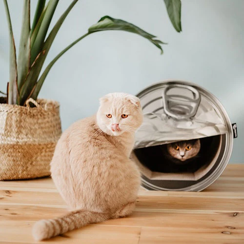 District 70 Can 3 District 70 Can - Afbeelding 3