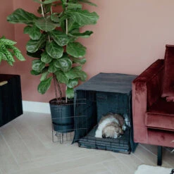 District 70 Crate Bench Hoes 34 District 70 Crate Bench Hoes -Beste Dierenartikelen Winkel district 70 crate cover 191152 0500 none