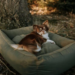 District 70 Lodge Box Bed -Beste Dierenartikelen Winkel district 70 lodge box bed hondenmand 190685 2000 none