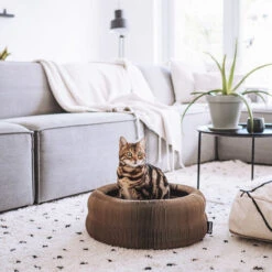 District 70 Maze 13 District 70 Maze -Beste Dierenartikelen Winkel district 70 maze 190927 0500 none