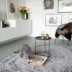 District 70 Spy -Beste Dierenartikelen Winkel district 70 spy 133861 0500 none