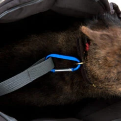 Doctor Bark Dog Carrier Bag -Beste Dierenartikelen Winkel doctor bark honden draagtas 202157 1500 none