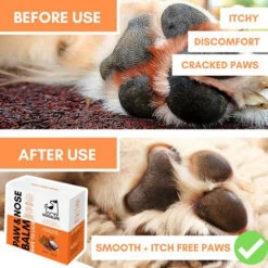 Dogslife Paw & Nose Balm 10 Dogslife Paw & Nose Balm -Beste Dierenartikelen Winkel dogslife paw nose balm 219825 0500 none