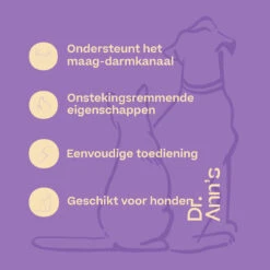 Dr. Ann's Gastrointestinal Support 11 Dr. Ann's Gastrointestinal Support -Beste Dierenartikelen Winkel dr anns gastrointestinal support 223116 2000 none