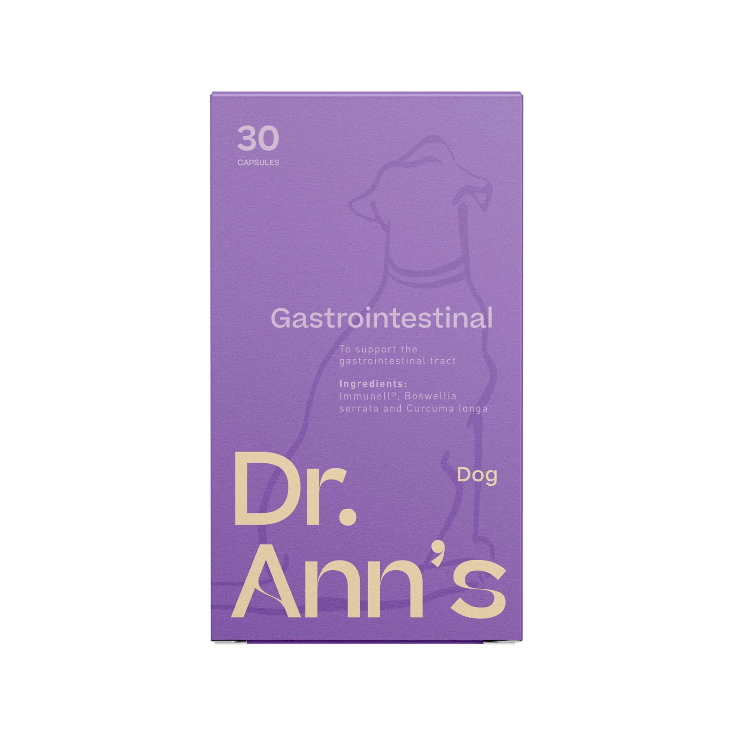 Dr. Ann's Gastrointestinal Support 1 Dr. Ann's Gastrointestinal Support