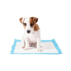 Duvo+ Puppy Pads -Beste Dierenartikelen Winkel duvo puppy pads 146015 1000 none