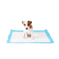 Duvo+ Puppy Pads -Beste Dierenartikelen Winkel duvo puppy pads large 50 stuks 108439 1000 none