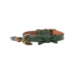 DWAM Halsband Bowie -Beste Dierenartikelen Winkel dwam bowie halsband groen xs 113209 1000 none