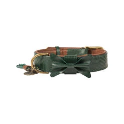 DWAM Halsband Bowie -Beste Dierenartikelen Winkel dwam bowie halsband groen xxl 113224 1000 none
