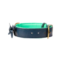 DWAM Halsband Buster -Beste Dierenartikelen Winkel dwam buster halsband 186295 1000 none