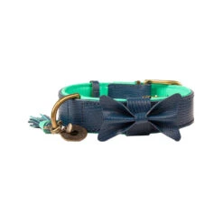 DWAM Halsband Buster -Beste Dierenartikelen Winkel dwam buster halsband 186304 1000 none